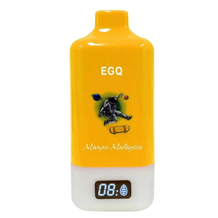 15000 Puffs Chargeable Vape Electronic Cigarette Vape Pod