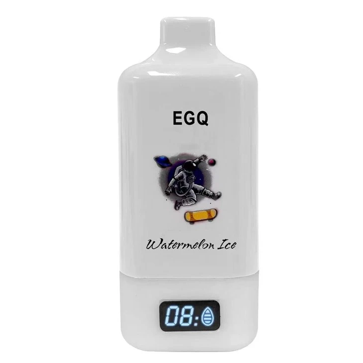 15000 Puffs Chargeable Vape Electronic Cigarette Vape Pod