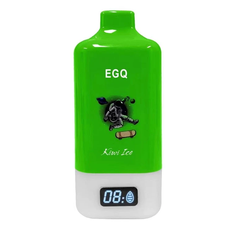 15000 Puffs Chargeable Vape Electronic Cigarette Vape Pod