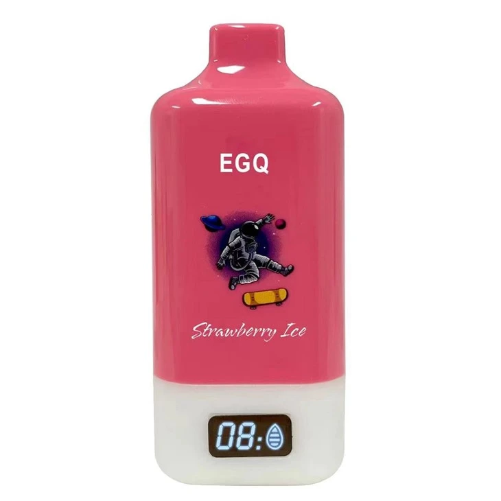 15000 Puffs Chargeable Vape Electronic Cigarette Vape Pod
