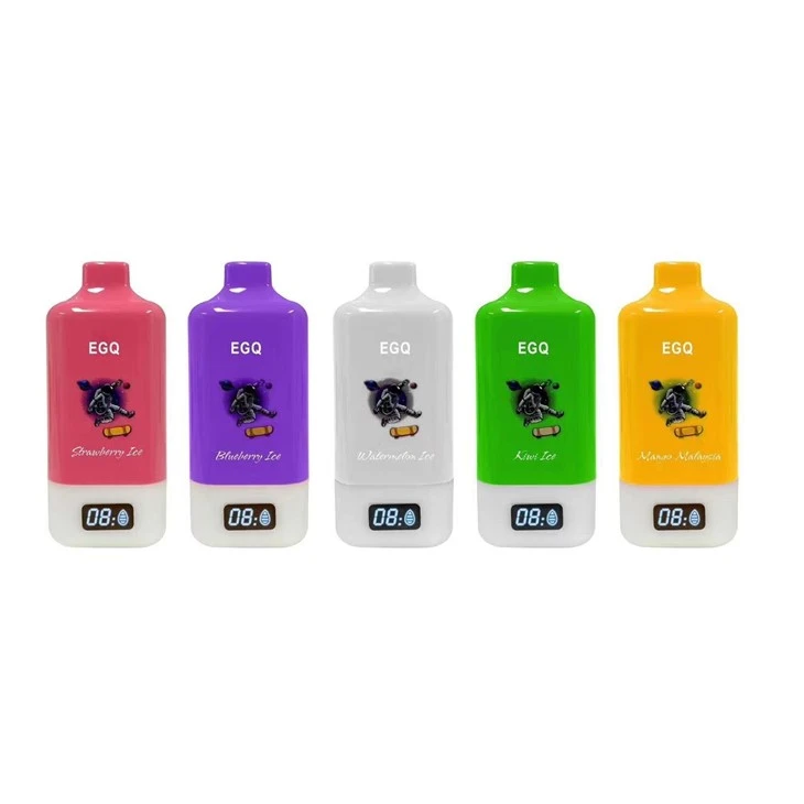 15000 Puffs Chargeable Vape Electronic Cigarette Vape Pod