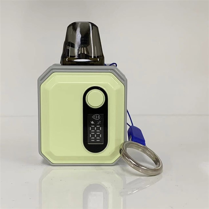 600 Puffs Vape Pod With 10 Flavors Wholesale Price