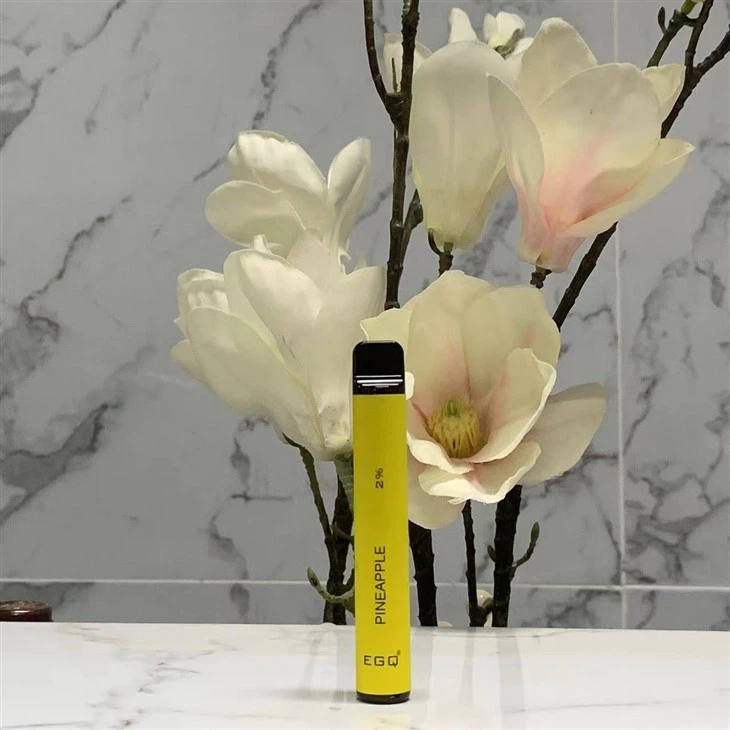 Hot Selling 600 Puffs Vape